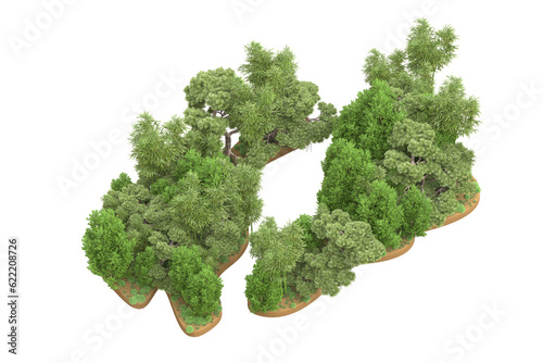 Tropical forest isolated on transparent background. 3d rendering - illustration