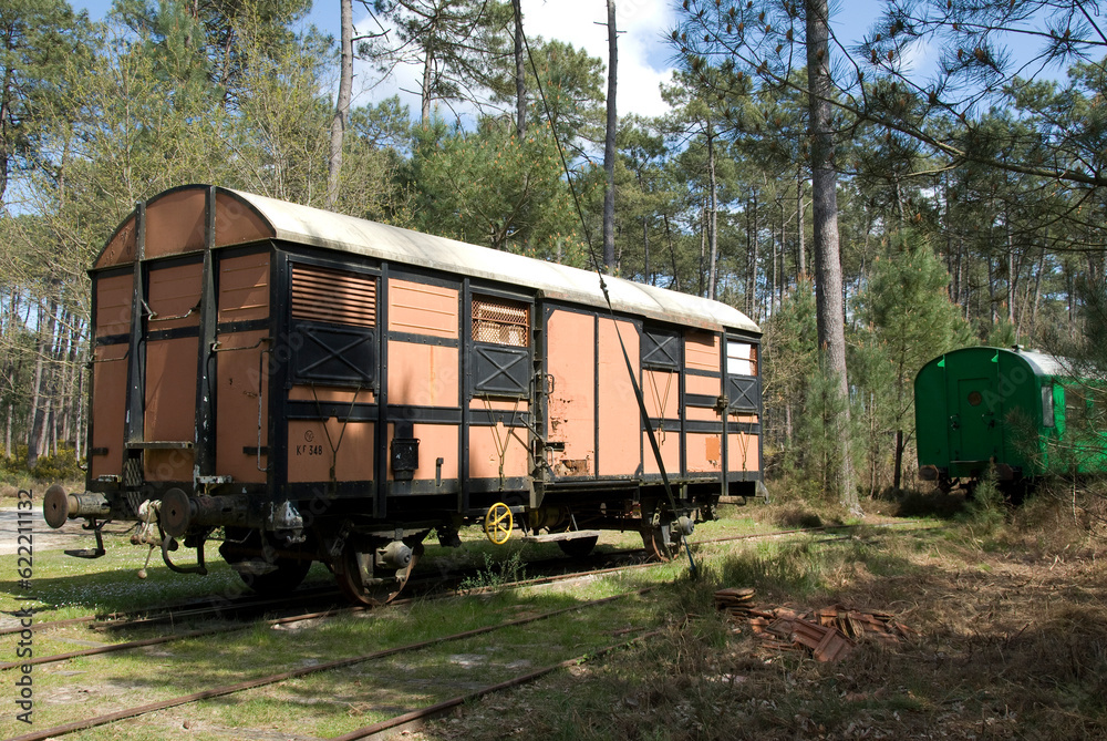 Train touristique des Landes; Eco musée de Marquéze; Parc naturel des Landes de Gascogne; Région Aquitaine; Sabres; 40, France Train touristique des Landes; Eco musée de Marquéze; Parc naturel des Landes de Gascogne; Région Aquitaine; Sabres; 40, France