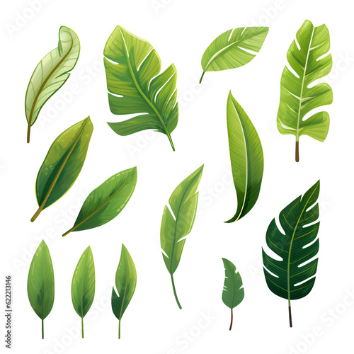 Set of tropical vector leaves. Variety. Ornamental plants. White background  Generative AI