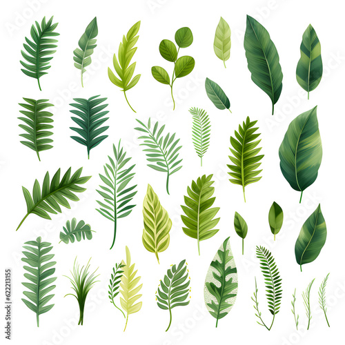 Set of tropical vector leaves. Variety. Ornamental plants. White background  Generative AI