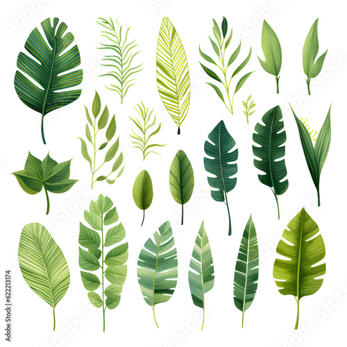 Set of tropical vector leaves. Variety. Ornamental plants. White background  Generative AI