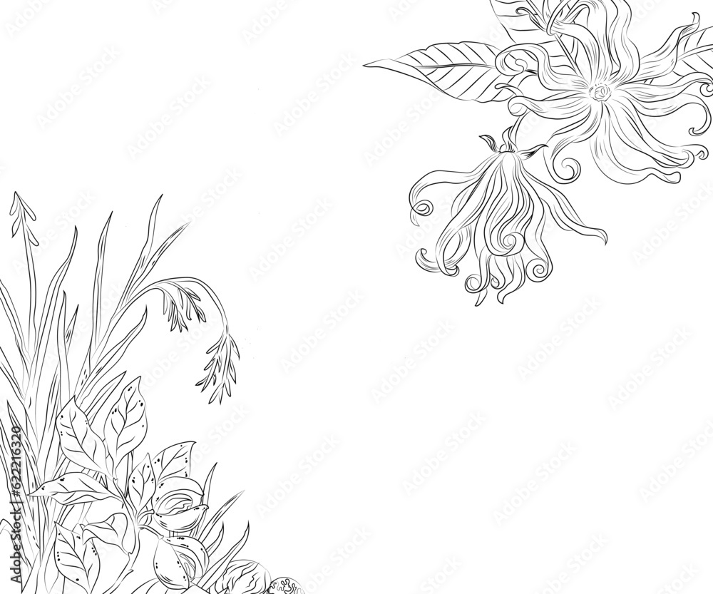 Fototapeta premium Hand drawing botanical vector illustration