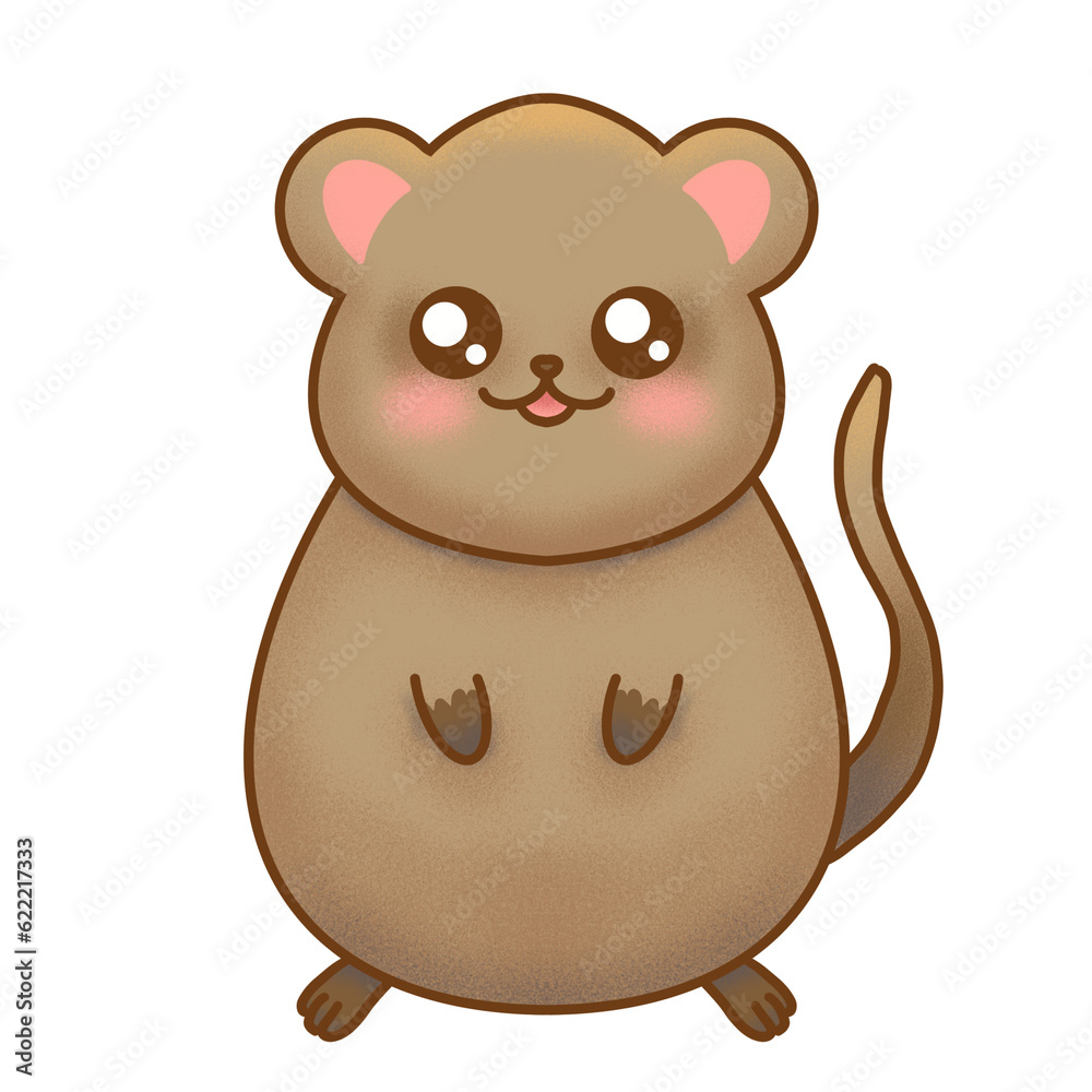 Cute Quokka Illustration Cute Quokka Illustration