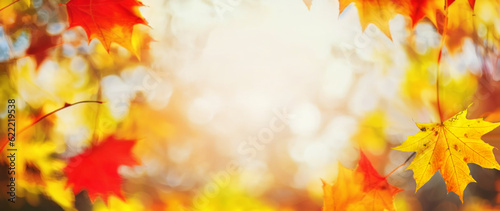 Autumn blurred background with frame of orange, gold and red maple leaves on nature on background of sunlight with soft beautiful bokeh.