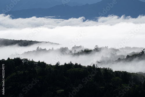 美しい雲海