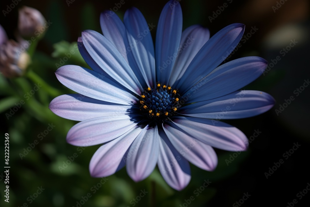Blue daisy blossom plant. Generate Ai Blue daisy blossom plant. Generate Ai