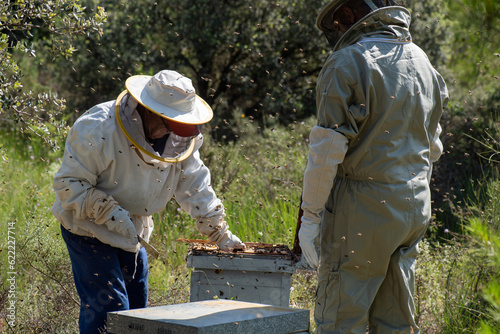 beekeeper father in his eighties catching bee panels, dressed in protective gear, brushing bees away with natural hair brush