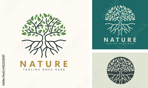 Tree and roots logo design inspiration