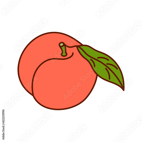 Hand-drawn peach on a transparent background. Isolated vector illustration of apricot or nectarine
