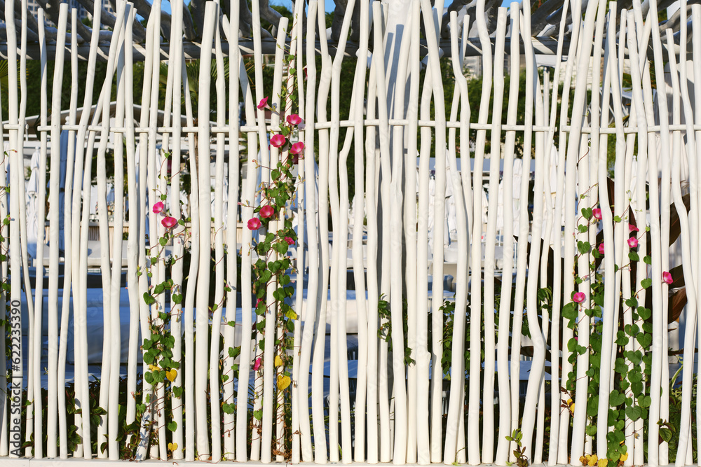 Obraz premium Fence of thin wooden rods of white color with flowers. Background for design.