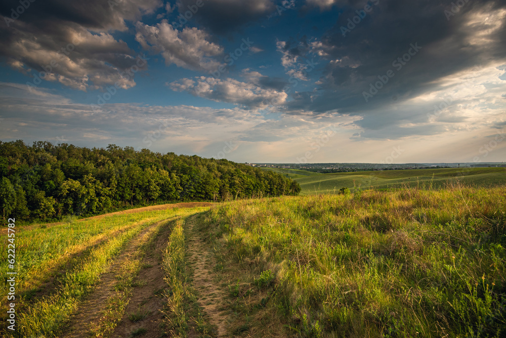 Obraz premium Summer landscape