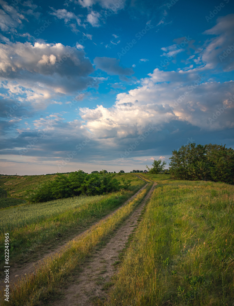 Obraz premium Summer evening landscape