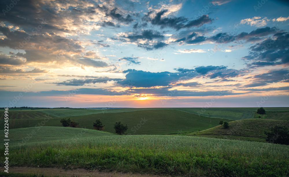 Summer evening landscape