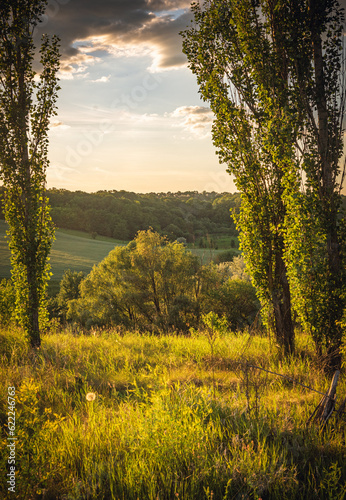 Spring evening landscape