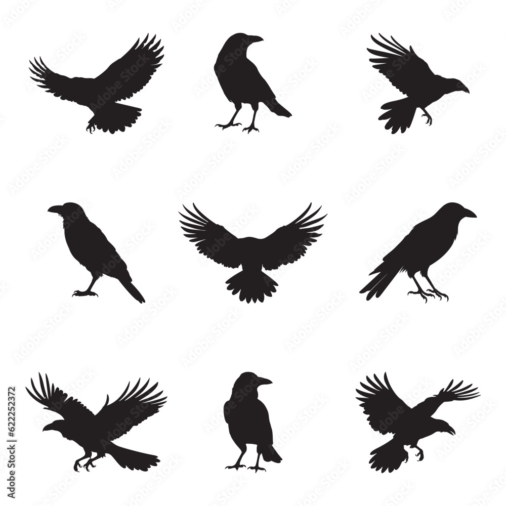 Obraz premium Crow flamingo collection - vector illustration