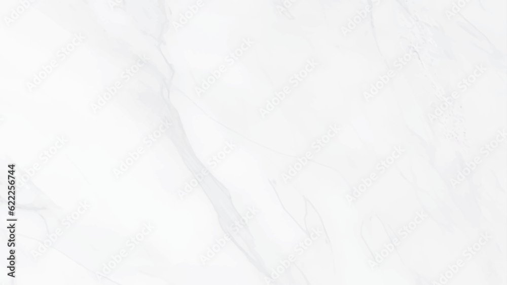 Obraz premium natural White marble texture for skin tile luxury soft white tiles background. white background marble wall texture