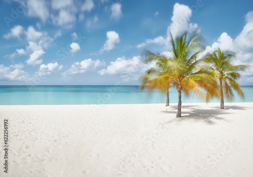 Caribbean sunny beach with palm trees