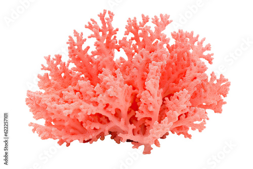 Thorny Coral  Thin Finger    Table Coral beccc_.Table Coral  on transparent background  PNG . Generative AI.