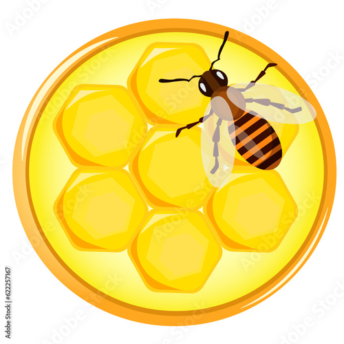 A bee that brings honey on a light background