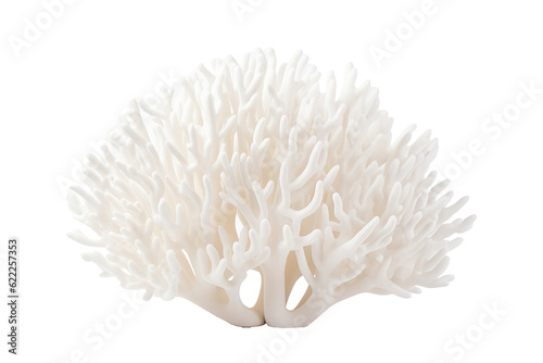 Fototapeta Naklejka Na Ścianę i Meble -  tube coral, on transparent background (PNG). Generative AI.