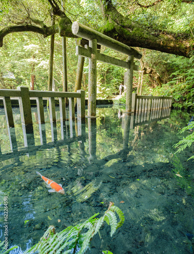 神秘的な神社