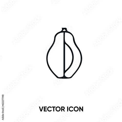 Papaya vector icon. Modern, simple flat vector illustration for website or mobile app. Fruit symbol, logo illustration. Pixel perfect vector graphics	