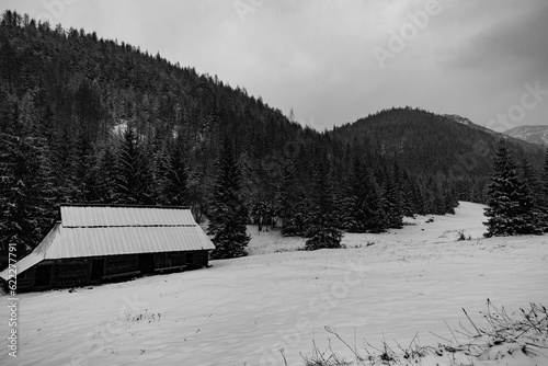 Beautiful view on the snow Tatry. Zakopane, Giewont, Kasprowy Wierch, Swinica, Rysy, Kresanica photo