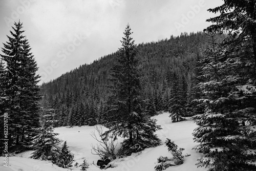 Beautiful view on the snow Tatry. Zakopane, Giewont, Kasprowy Wierch, Swinica, Rysy, Kresanica