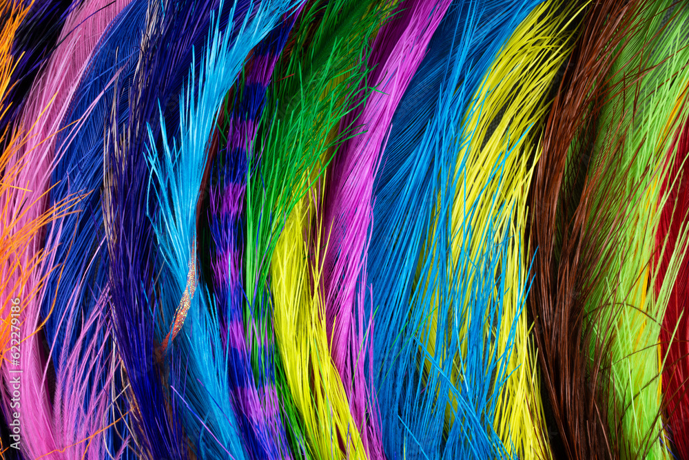 colorful feather background