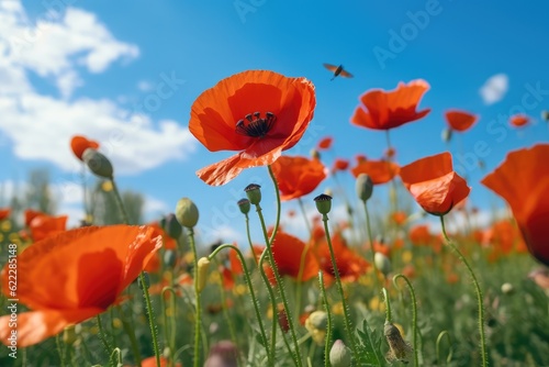 Close up beautiful red poppy flowers in summer in nature outdoors on sunny day against blue sky. Blooming poppies in wild. Ai generative.