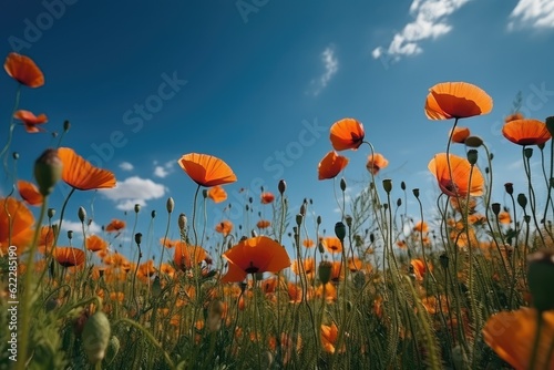 Close up beautiful red poppy flowers in summer in nature outdoors on sunny day against blue sky. Blooming poppies in wild. Ai generative.