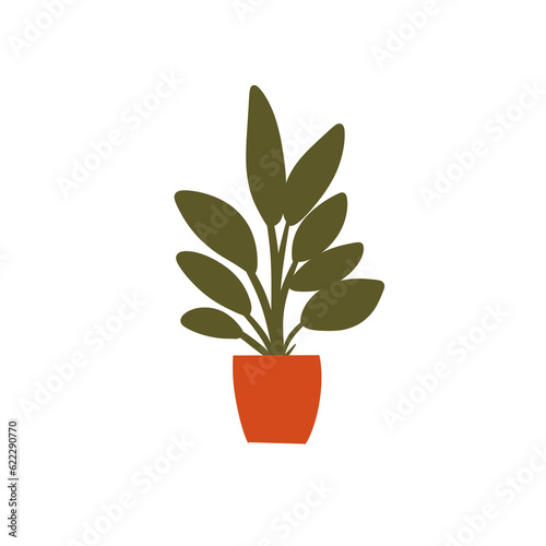 plant in a pot, illustration 