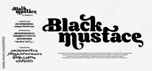 Elegant Font Uppercase Lowercase and Number. Classic Lettering Minimal Fashion Designs. Typography modern serif fonts regular decorative vintage concept. vector illustration
