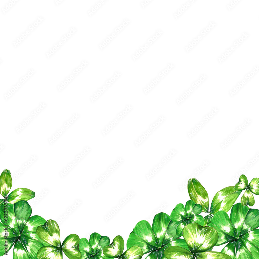 a set of watercolor bright illustrations. meadow grasses, flowers, clover. summer mood for the design of postcards, invitations, website design. a set of watercolor bright illustrations. meadow grasses, flowers, clover. summer mood for the design of postcards, invitations, website design.
