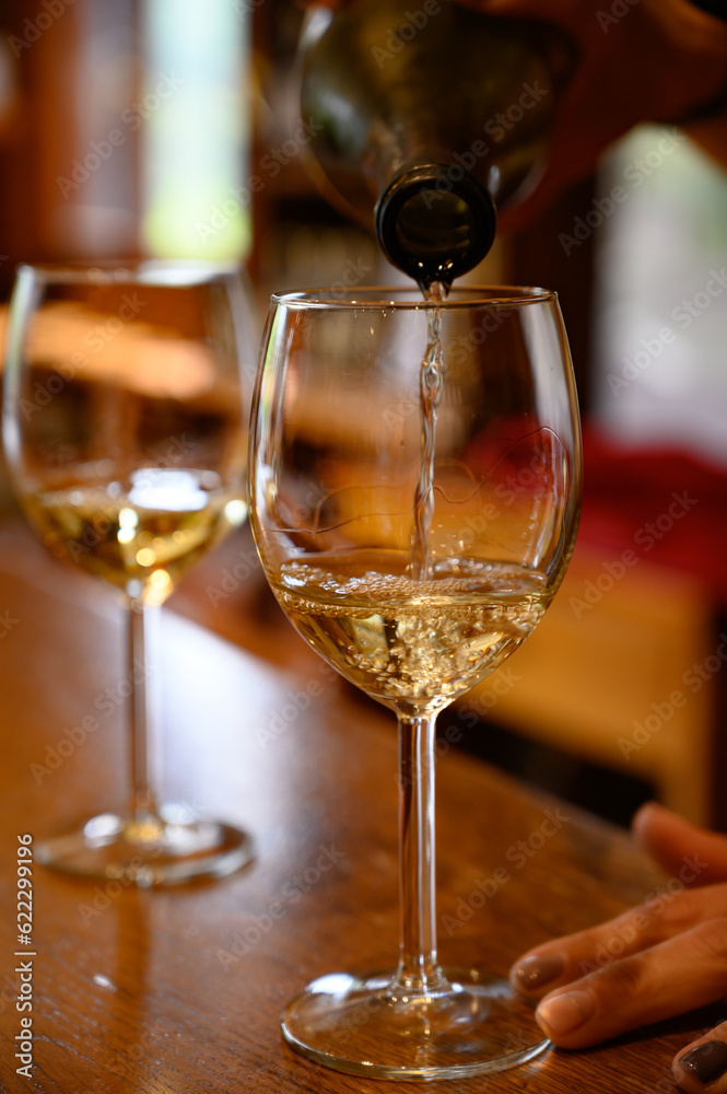 Fototapeta premium Tasting of variety of Spanish rioja wines, visit of winery cellars, Rioja wine making region, Spain