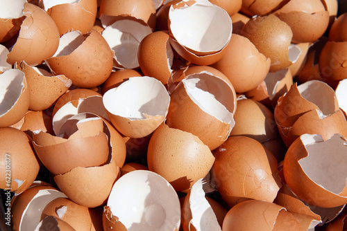 eggshell, eggshell background