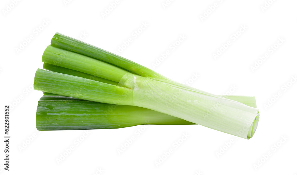japanese bunching onion on transparent png japanese bunching onion on transparent png