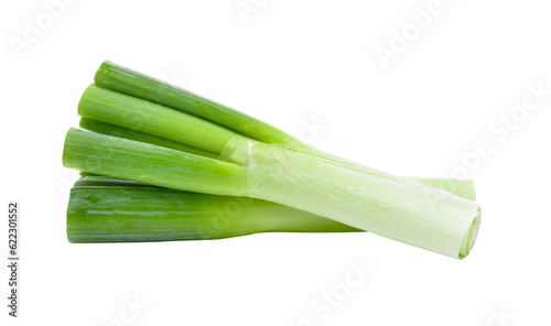 japanese bunching onion on transparent png