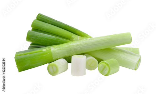 japanese bunching onion on transparent png