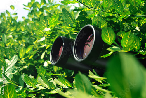 Binoculars among leaves. Observation equipment. Concept of spying technology.