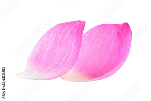 Canvastavla lotus petal on transparent png