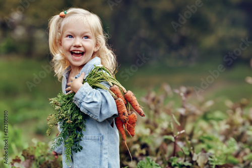 Cute toddler smiling blond girl in blue outfits holding a bunch of fresh organic carrots. Child harvesting vegetables in a garden. Fresh healthy food for small kids. Family nutrition in summer
