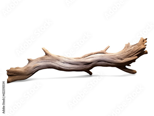 Driftwood isolated on transparent or white background, png photo