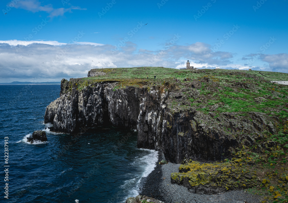 Cliffs of Isle of May