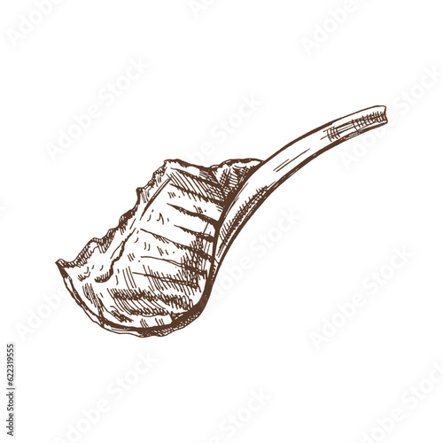 Organic food. Hand drawn vector sketch of beef steak, piece of meat on the bone. Doodle vintage illustration. Decorations for the menu of cafes and labels. Engraved immage.