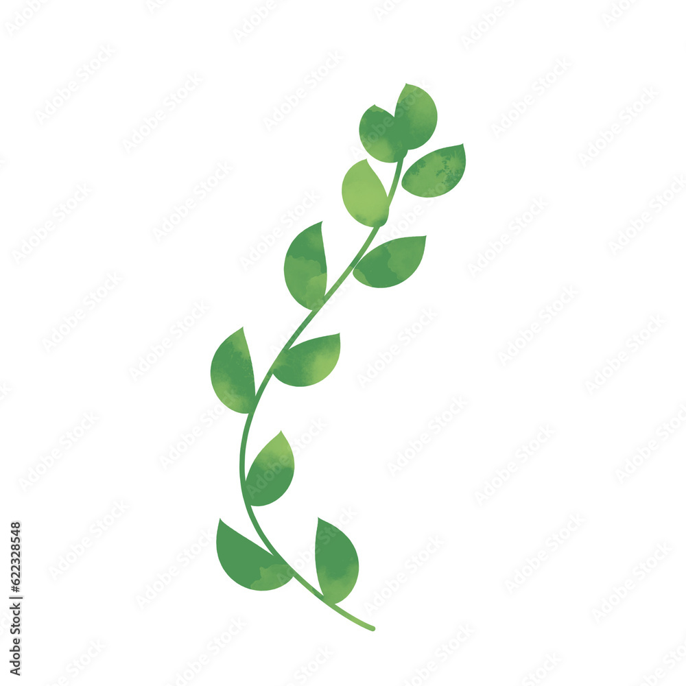 Green botanical leaves Green botanical leaves