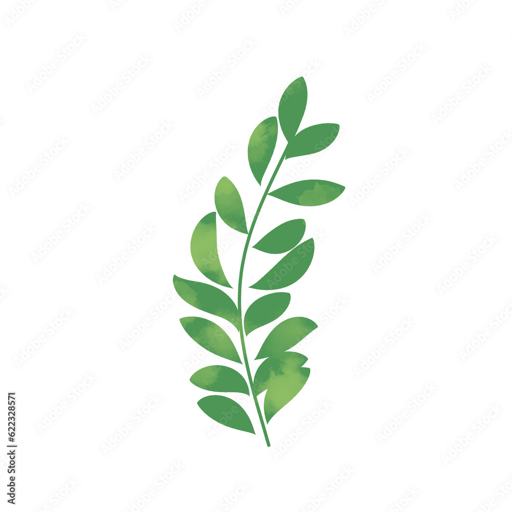 Green botanical leaves Green botanical leaves
