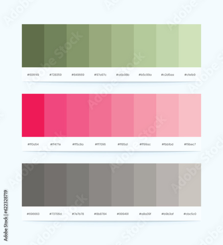 Color Palette Vector With Color Codes