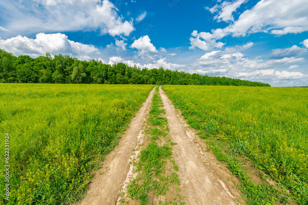 Dirty road on the field with flowers at hot day summer time.