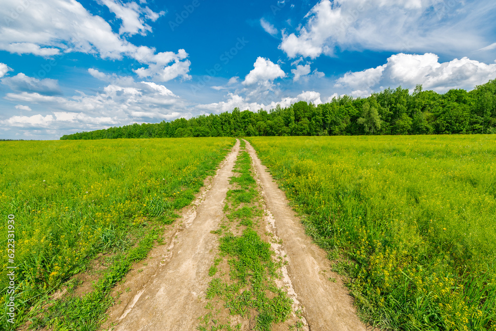 Dirty road on the field with flowers at hot day summer time. Dirty road on the field with flowers at hot day summer time.